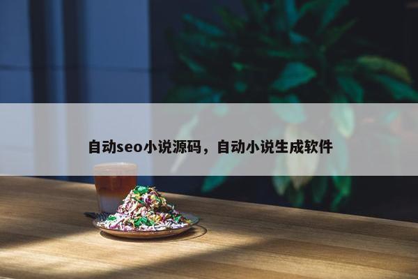 自动seo小说源码，自动小说生成软件