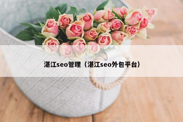 湛江seo管理（湛江seo外包平台）