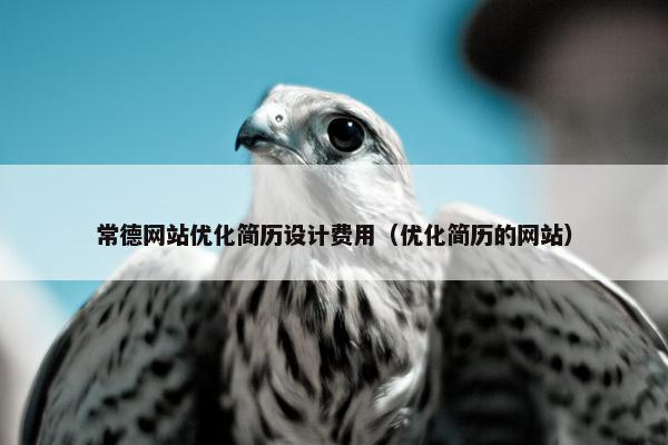 常德网站优化简历设计费用（优化简历的网站）