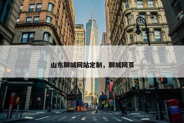 山东聊城网站定制，聊城网页