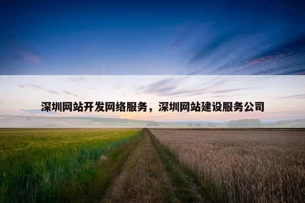 深圳网站开发网络服务，深圳网站建设服务公司