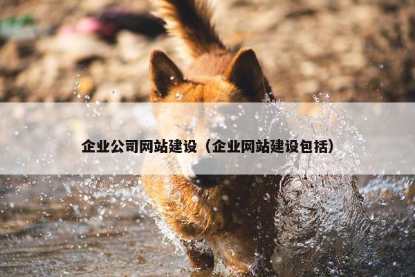 企业公司网站建设（企业网站建设包括）