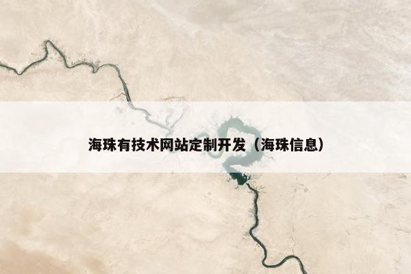 海珠有技术网站定制开发（海珠信息）