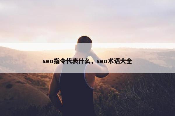 seo指令代表什么，seo术语大全
