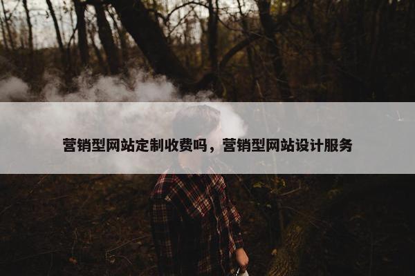 营销型网站定制收费吗，营销型网站设计服务