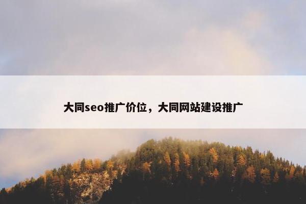 大同seo推广价位，大同网站建设推广