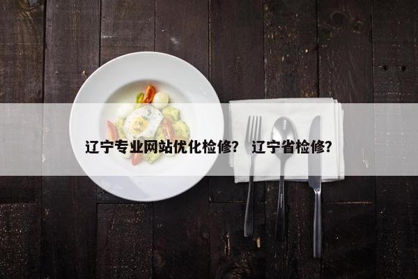 辽宁专业网站优化检修？ 辽宁省检修？