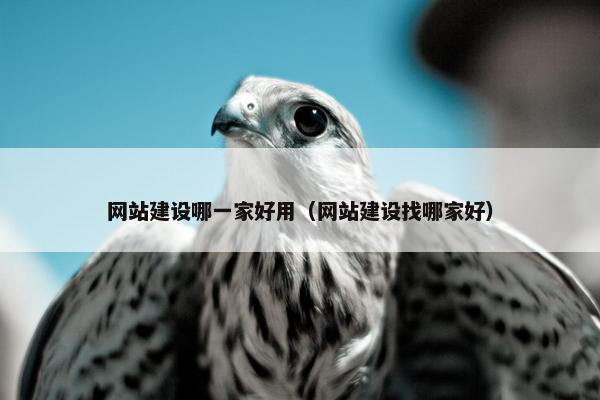 网站建设哪一家好用（网站建设找哪家好）