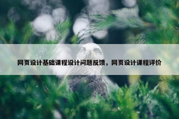 网页设计基础课程设计问题反馈，网页设计课程评价