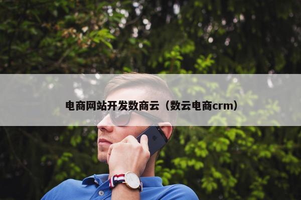 电商网站开发数商云（数云电商crm）