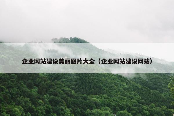 企业网站建设美丽图片大全（企业网站建设网站）