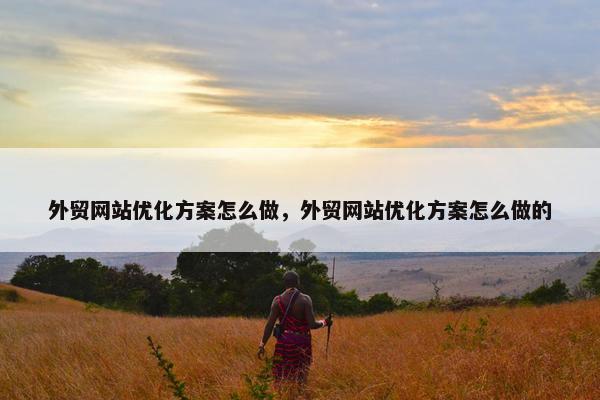 外贸网站优化方案怎么做，外贸网站优化方案怎么做的