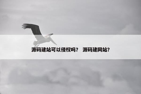 源码建站可以侵权吗？ 源码建网站？