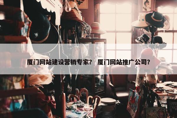 厦门网站建设营销专家？ 厦门网站推广公司？