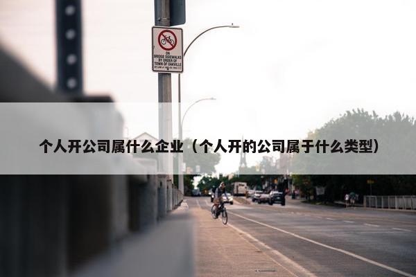 个人开公司属什么企业（个人开的公司属于什么类型）