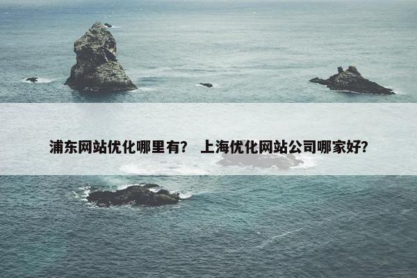 浦东网站优化哪里有？ 上海优化网站公司哪家好？