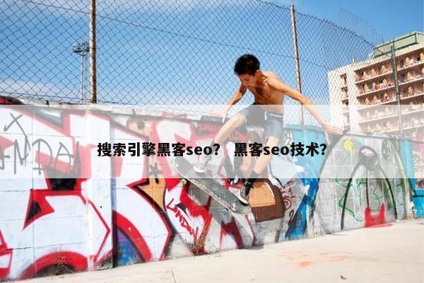 搜索引擎黑客seo？ 黑客seo技术？