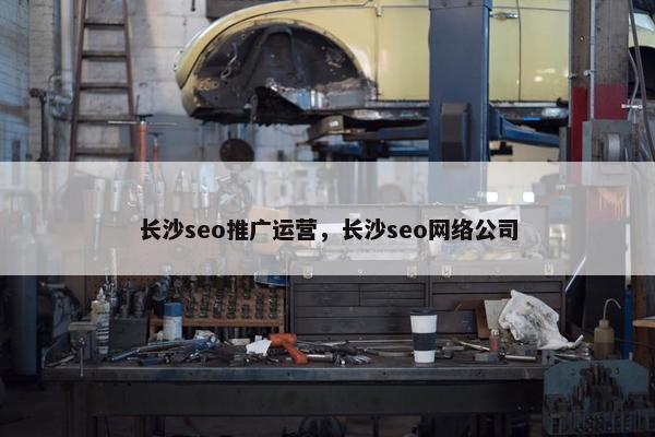 长沙seo推广运营，长沙seo网络公司