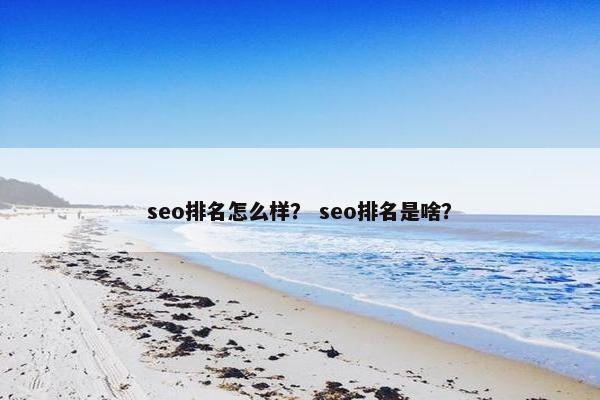 seo排名怎么样？ seo排名是啥？