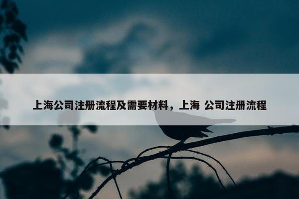 上海公司注册流程及需要材料，上海 公司注册流程