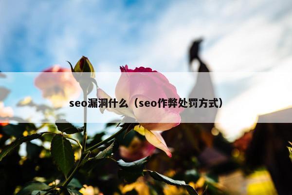 seo漏洞什么（seo作弊处罚方式）