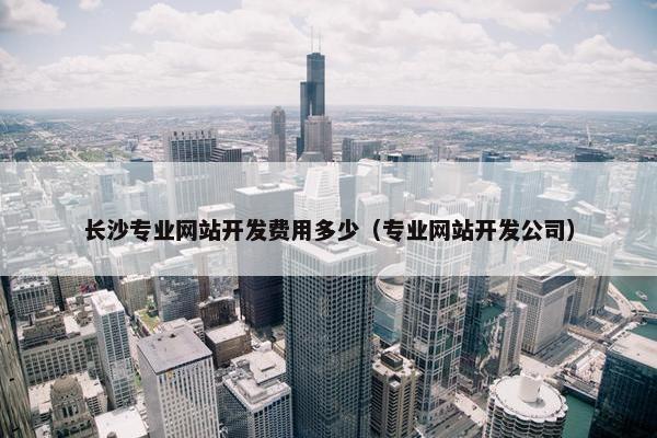 长沙专业网站开发费用多少（专业网站开发公司）