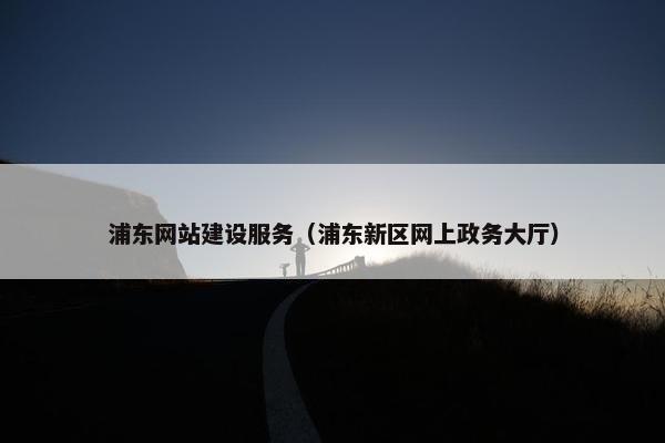 浦东网站建设服务（浦东新区网上政务大厅）