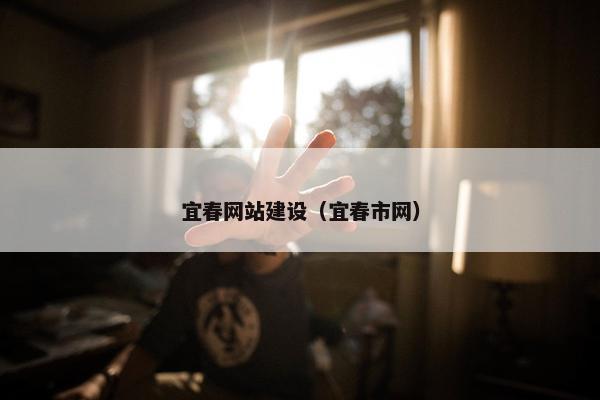 宜春网站建设（宜春市网）