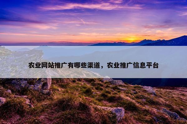 农业网站推广有哪些渠道，农业推广信息平台
