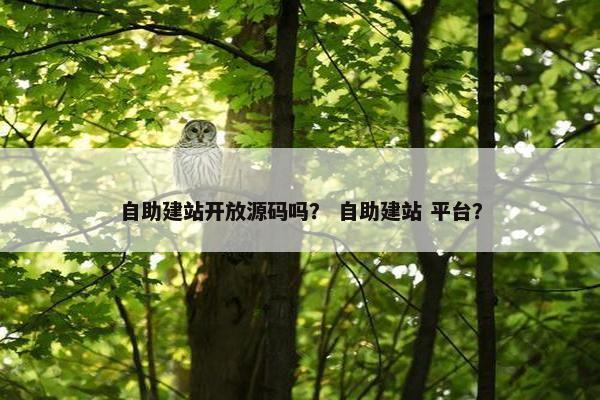 自助建站开放源码吗？ 自助建站 平台？