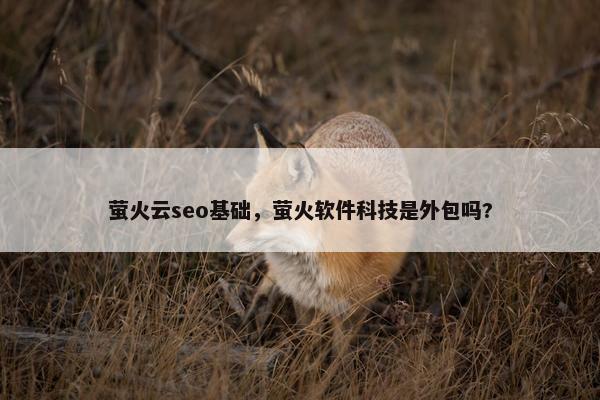 萤火云seo基础，萤火软件科技是外包吗?