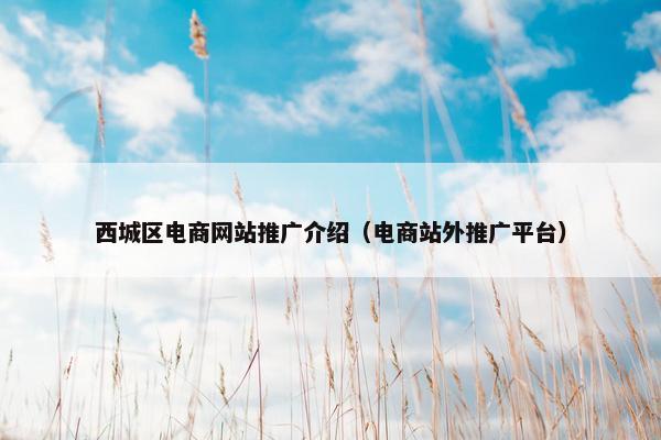 西城区电商网站推广介绍（电商站外推广平台）