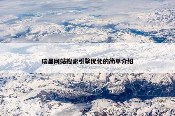 瑞昌网站搜索引擎优化的简单介绍