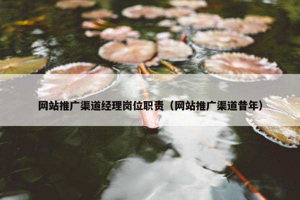 网站推广渠道经理岗位职责（网站推广渠道昔年）