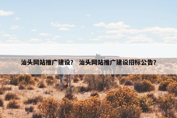 汕头网站推广建设？ 汕头网站推广建设招标公告？