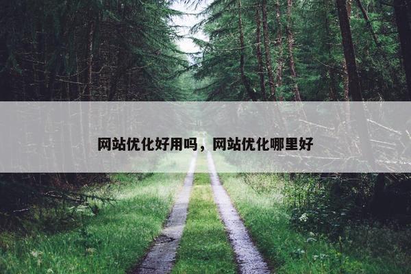 网站优化好用吗，网站优化哪里好