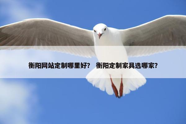 衡阳网站定制哪里好？ 衡阳定制家具选哪家？
