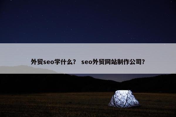 外贸seo学什么？ seo外贸网站制作公司？