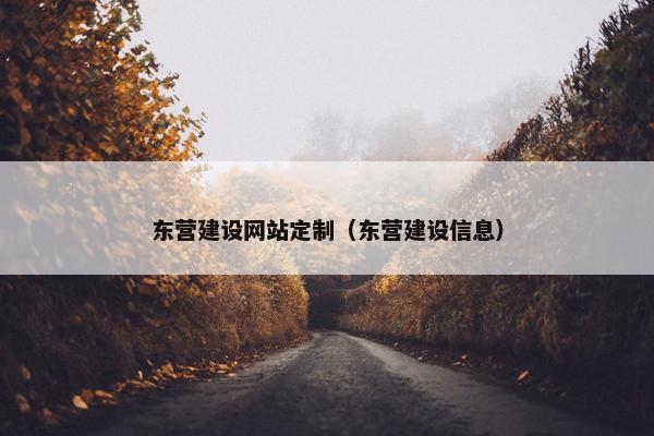 东营建设网站定制（东营建设信息）