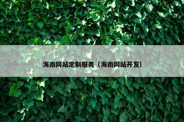 海南网站定制服务（海南网站开发）