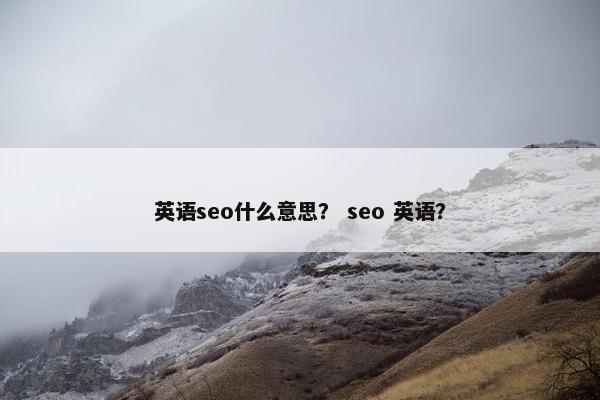 英语seo什么意思？ seo 英语？