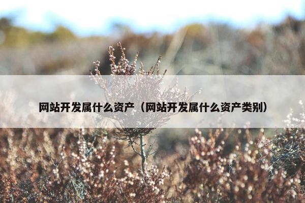 网站开发属什么资产（网站开发属什么资产类别）