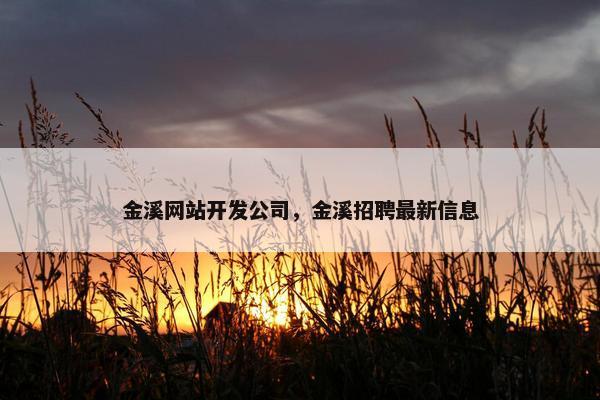 金溪网站开发公司，金溪招聘最新信息