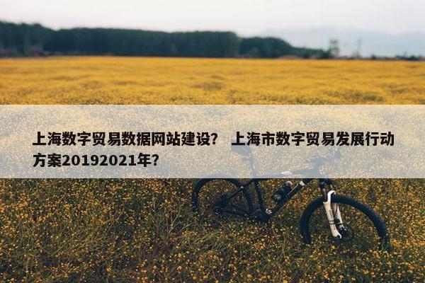 上海数字贸易数据网站建设？ 上海市数字贸易发展行动方案20192021年？