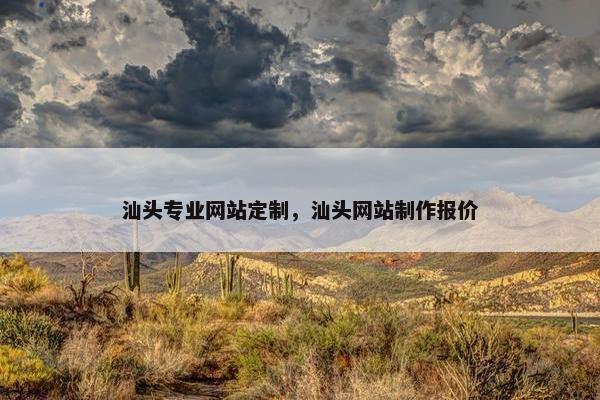 汕头专业网站定制，汕头网站制作报价