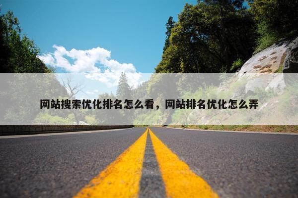 网站搜索优化排名怎么看，网站排名优化怎么弄