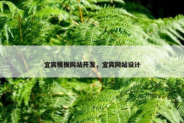 宜宾模板网站开发，宜宾网站设计