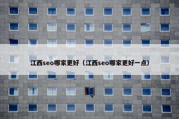 江西seo哪家更好（江西seo哪家更好一点）