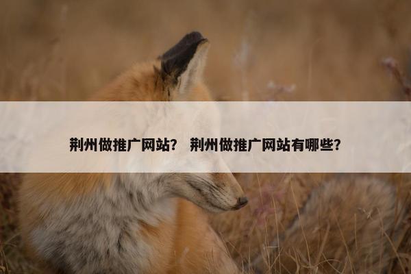 荆州做推广网站？ 荆州做推广网站有哪些？