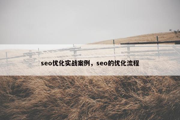 seo优化实战案例，seo的优化流程